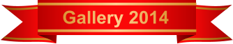 Gallery 2014