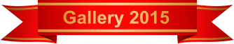 Gallery 2015